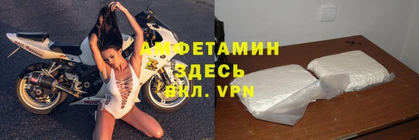 индика Алзамай
