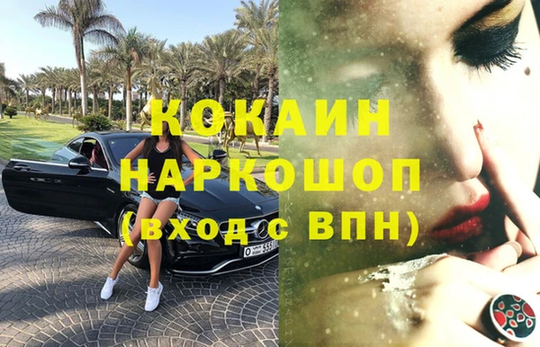индика Алзамай