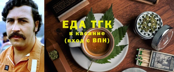 индика Алзамай