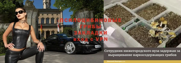 синтетический гашиш Алексеевка