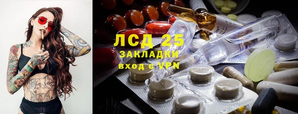 индика Алзамай