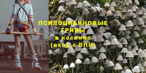 индика Алзамай